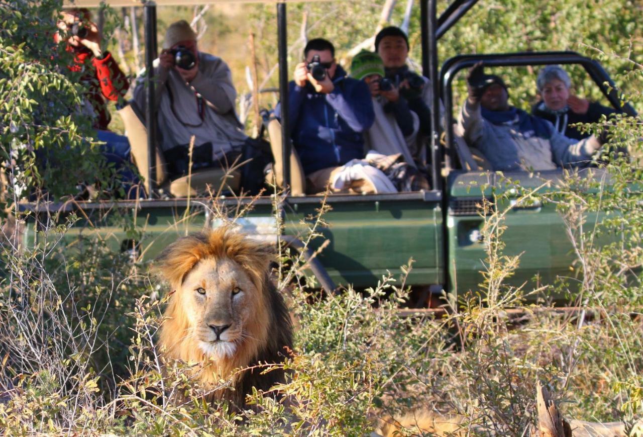 Parsons Hilltop Safari Camp บาลูเลเกมรีเซิร์ฟ ภายนอก รูปภาพ