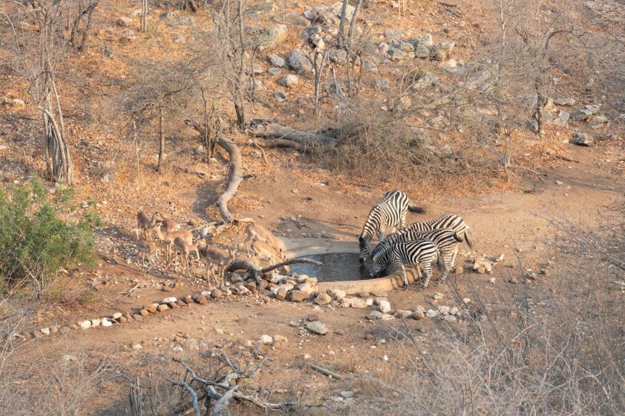 Parsons Hilltop Safari Camp บาลูเลเกมรีเซิร์ฟ ภายนอก รูปภาพ