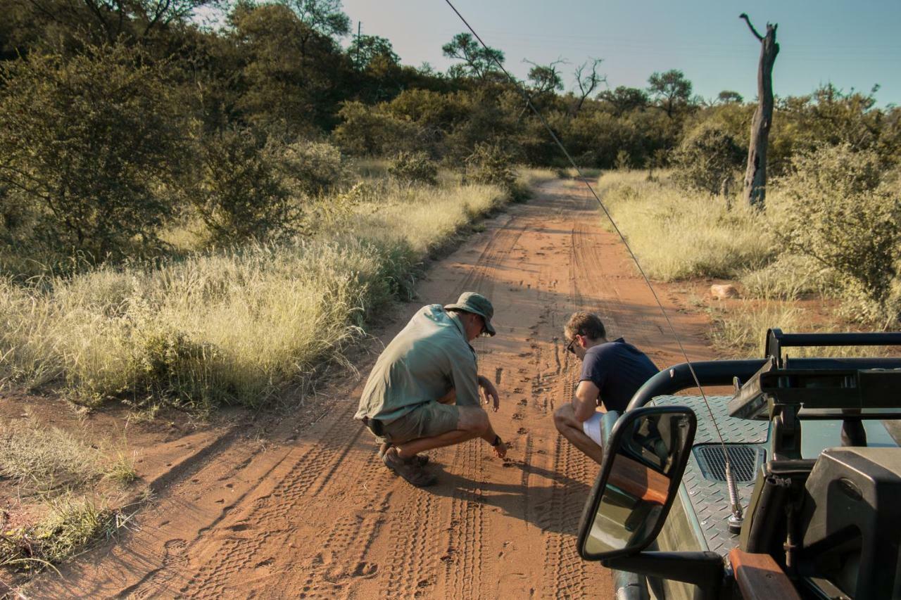 Parsons Hilltop Safari Camp บาลูเลเกมรีเซิร์ฟ ภายนอก รูปภาพ
